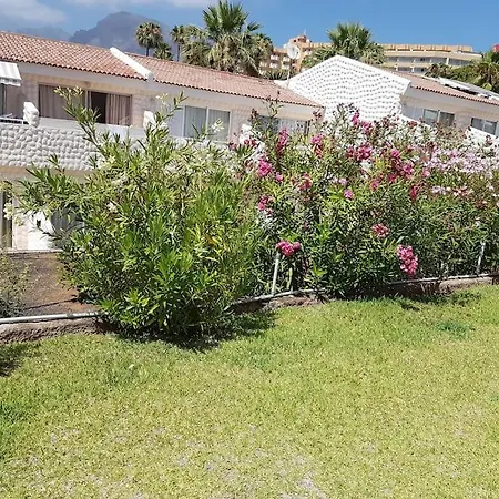 Studio With Garden + Wi-fi Arona